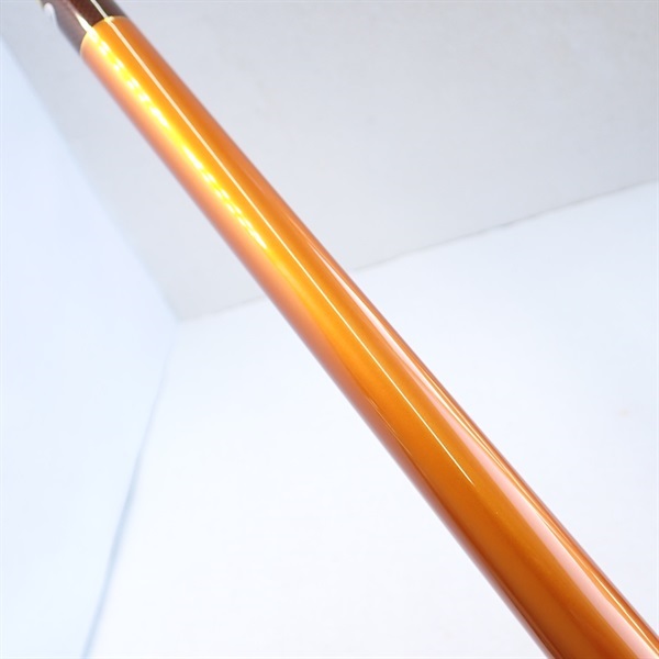 １４キャスティズムＴ２７―３８５